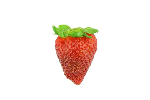 Single isolated ripe red strawberry on white background ready for cutting out with magic wand selection