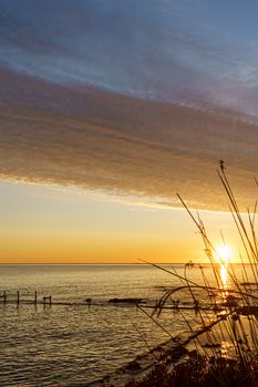 Bush plant silhouette cuts the sun in the foreground with orange and red sky with gorgeous cloud on an old abandoned sea pier in dawn or sunset with water reflections between the rocks