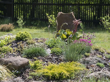 spring garden with beautiful rock garden in full bloom with pink Phlox, Armeria maritima, sea thrift, Bergenia or elephants ears, carnation and other colorful blooming flowers.