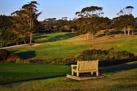 An old bench, antique, weathered, covered with moss and cobweb; A beautiful golf course manicured green grass and golden evening light.