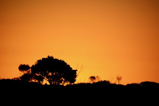 A Flagstick at a Golf Course; beautiful sunset colours and a silhouette of the golf flagstick against the evening sky.