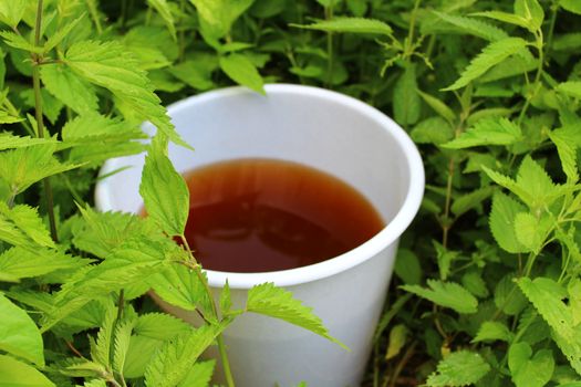 The picture shows liquid manure from stinging nettles in a stinging nettles field