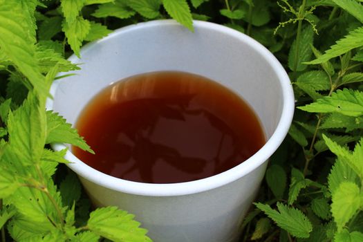 The picture shows liquid manure from stinging nettles in a stinging nettles field