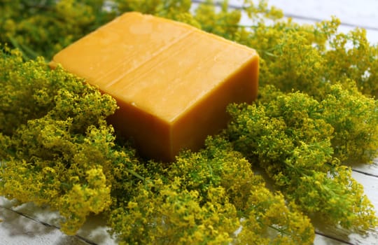 The picture shows blossoming cleaver and a piece of cheese on white boards