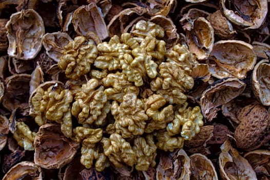 The picture shows walnuts, walnut shells and walnut kernels