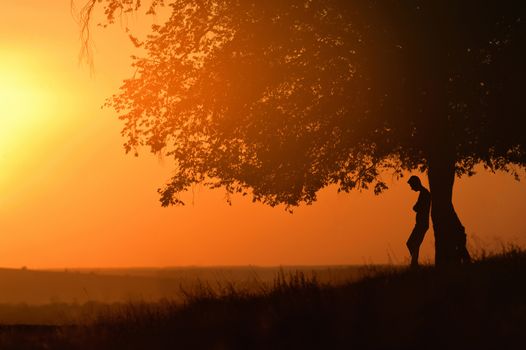 Old Oak and Man Silhouette with Sunset Light in Summer