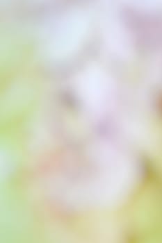 abstract color blur background, concept nature