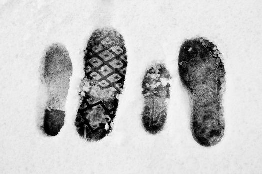 Black and white in winter. Footprints of a family in the white snow.