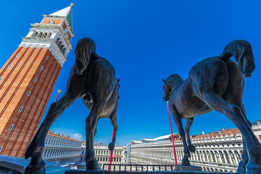 Copy of the ancient greek Lysippus sculpture taken from Constantinople by the Venetians at the Basilica at St. Mark's square