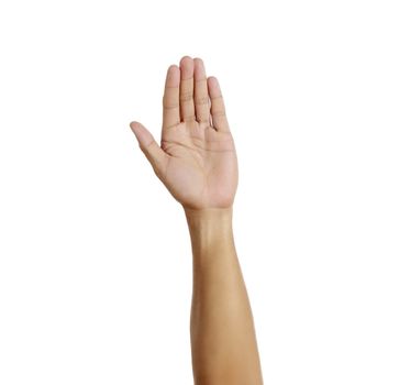 Woman hand show 5 finger sign on white background. Number five. woman open palm five finger on white background with copy space