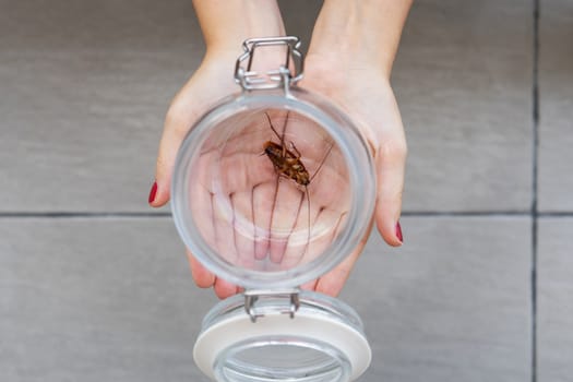 The girl holds on her palm a glass jar with a cockroach inside.