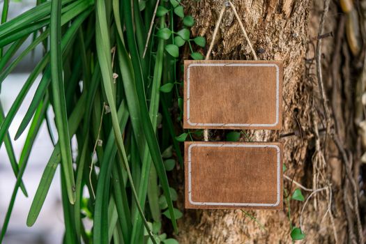 Blank wooden sign hanging on a tree in nature