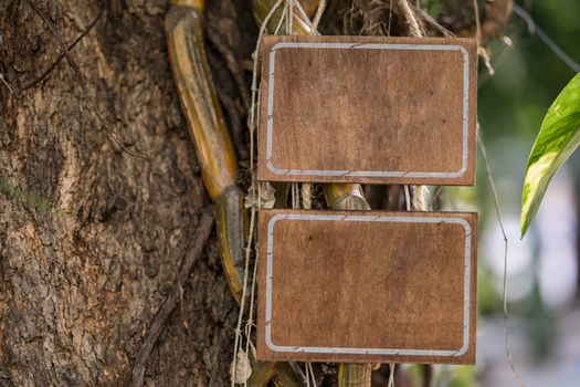 Blank wooden sign hanging on a tree in nature