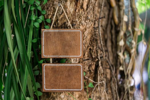 Blank wooden sign hanging on a tree in nature