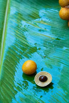 A bunch of longan branches on a background of green banana leaf. Vitamins, fruits, healthy foods.