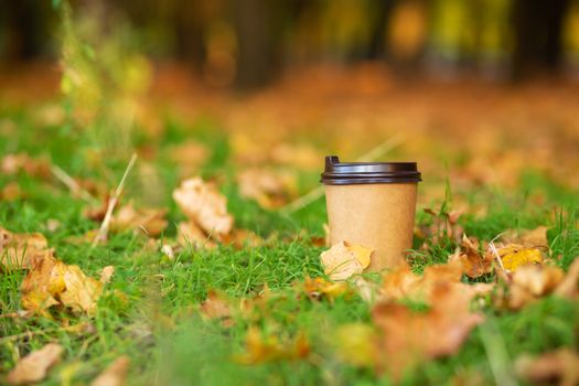 Walk with a cup of hot cocoa in the autumn park. Craft cup of coffee on the grass with yellow fallen leaves