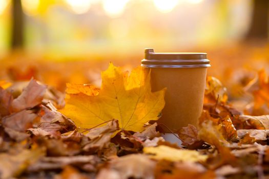 Walk with a cup of hot cocoa in the autumn park. Craft cup of coffee on the road with yellow fallen leaves.