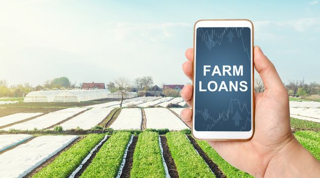 Farmer holds a phone with Farm loans on background of landscape potato plantations. Anti-crisis measures, debt restructuring and restoration of agricultural sector. Subsidies financial farmers support