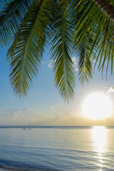 Sunset on a paradise tropical beach with palm trees