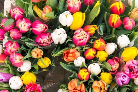 Tulips for sale at a flower markt