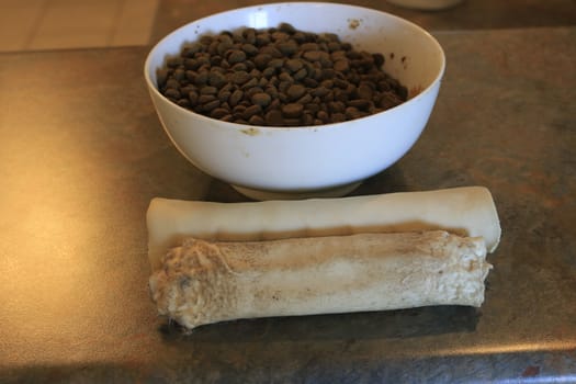 Rawhide chew next to dog kibble. Theme of controversial dog food