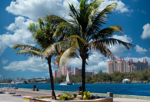 Resort and Sailboat Through Palm Trees in Bahamas