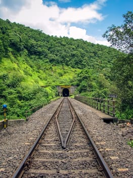 Photo of a railway track passing through a tunnel cut through a hill full of green plants.