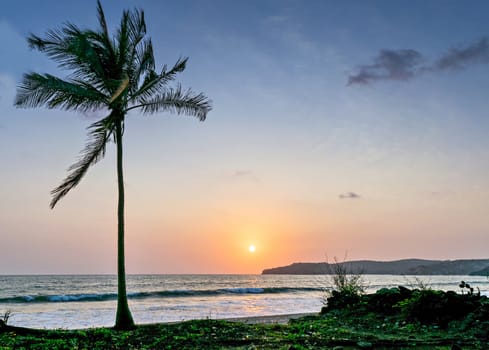 Sun setting in the sea with a coconut tree on the shore. Can be used as background.