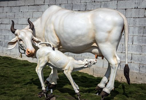 Beautifully crafted real-size sculpture of a cow milking her calf in Pune, Maharashtra, India. This life size statue is attractive and eye-catching for passers by.