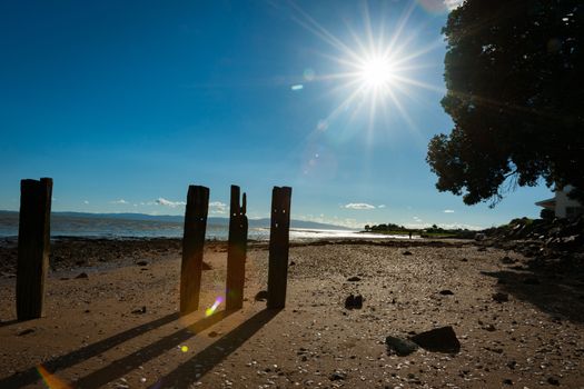 Old pier posts in silhouette cast shadow on sand at low tide with lens flare from starburst sun.