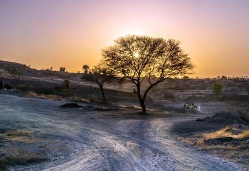 Village road, tree and Sunset behind. Can be used as background.