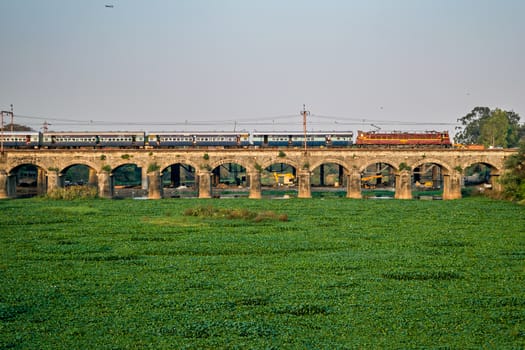 A passenger train crossing water hyacinth filled bed of Mula river in Dapodi.