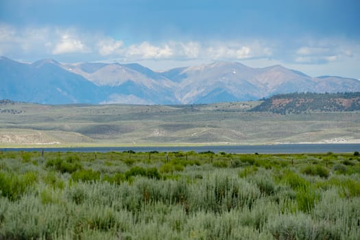 Long valley next the Lake Crowley, Mono County, California. USA. Green wetland with mountain on the background during clouded summer.