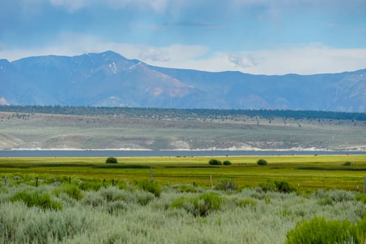 Long valley next the Lake Crowley, Mono County, California. USA. Green wetland with mountain on the background during clouded summer.