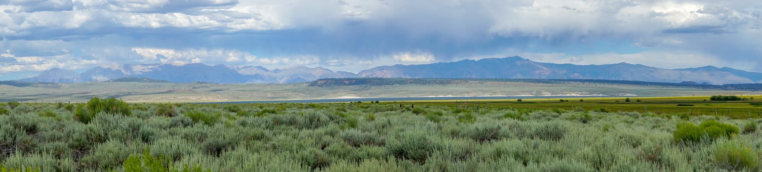 Long valley next the Lake Crowley, Mono County, California. USA. Green wetland with mountain on the background during clouded summer.