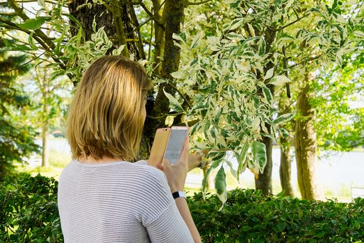 beautiful girl with white hair examines a tree using a smartphone