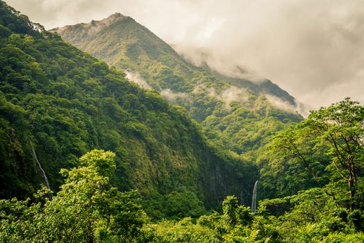 A heavy fog begins rolling into a rain forest in Tahiti, a part of French Polynesia.