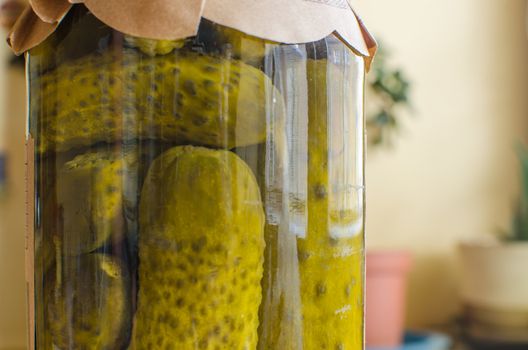 Homemade canned cucumbers in small glass jar. Marinated or fermented cucumbers, harvest for the winter.