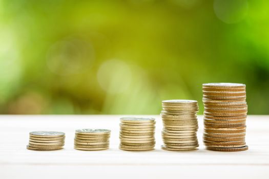 Money coins stack growing graph with sunlight nature background, business concept.