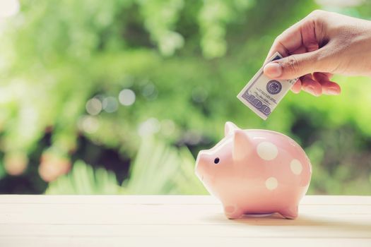 male hand saving money in a piggybank on nature background.