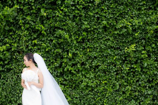 beautiful young woman on wedding day in white dress in the tree wall. Female portrait in the park - Selective focus