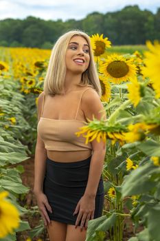 A gorgeous young blonde model poses outdoors in a field of sunflowers while enjoying a summers day