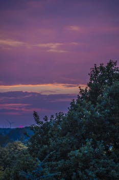 Violet, Purple, Pink, Pink Sunset. Rare and amazing.