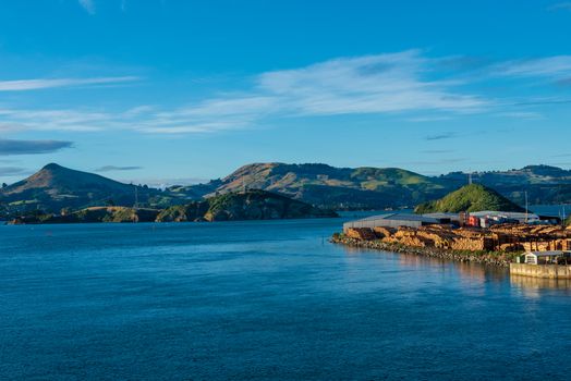 Beautiful Dunedin, New Zealnd with green hills and the blue waters of the harbor.