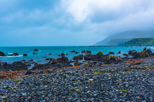 Landscape photo of a rocky and rainy beach outside Wellington, New Zealand.