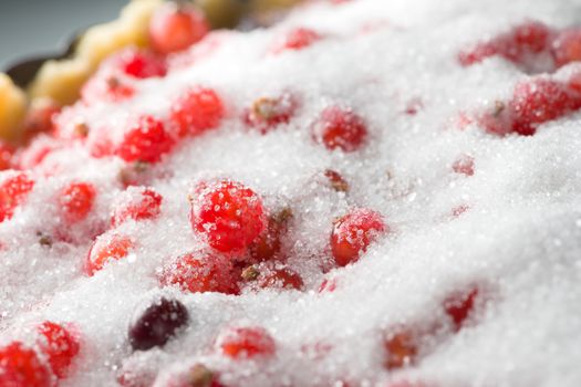 Redcurrant stands out from the sparkling granulated white sugar within this prepared but uncooked currant dessert tart.