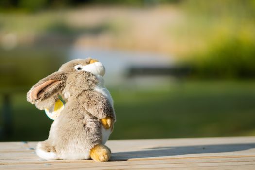 Blurred outdoor background with a cute stuffed bunny