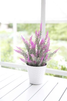 purple flower in jar