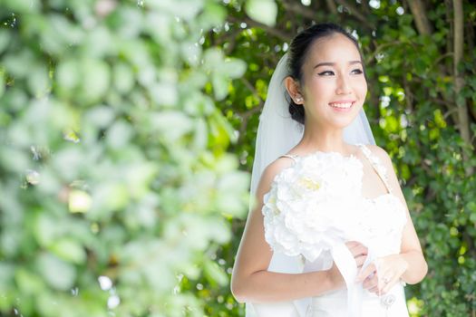 beautiful young woman on wedding day in white dress in the tree wall. Female portrait in the park - Selective focus