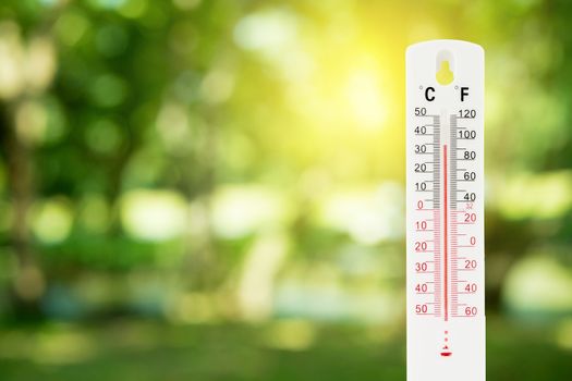 thermometer on a green nature background and temperature measuring, environment concept.